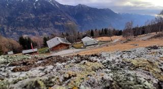 Natural Lodge Maso Baseta - 6