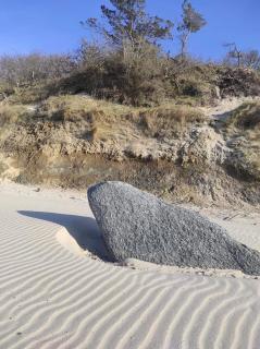 Bursztynek - 1
