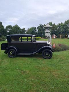 Naturskønt nær Ribe Vikingecenter, se og oplev den gamle by Ribe - 3