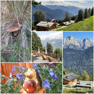 Natural Lodge Maso Baseta - 9