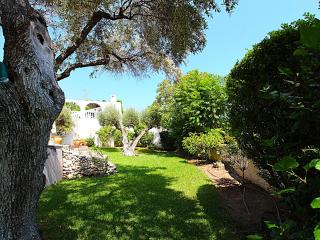 Villa Flora - 5