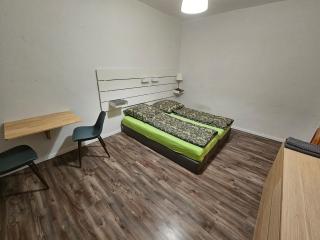 Private room in our home with free VVO ticket & cats - Pirna - 2