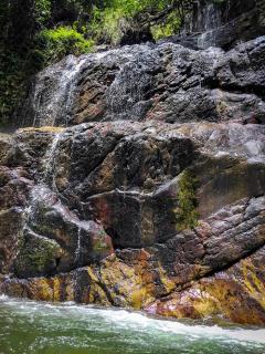Heeloya mount view garden - 2
