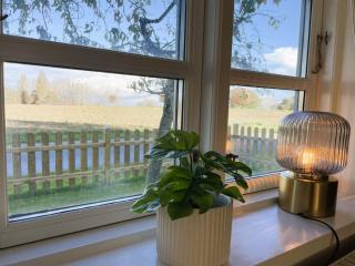 Holiday Home Dana - 525m from the sea by Interhome - 3