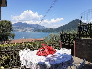 Dog-friendly, Panoramic Pool and Park on Lake 3 - 1