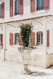 Le Mas Caladoc Luxury Retreat with Private Spa in Provence - 2