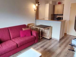 Appartement cosy 35m², 2 pièces avec balcon, près des pistes - FR-1-292-172 - 5