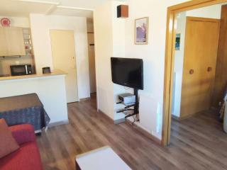 Appartement cosy 35m², 2 pièces avec balcon, près des pistes - FR-1-292-172 - 4