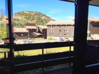 Appartement cosy 35m², 2 pièces avec balcon, près des pistes - FR-1-292-172 - 3