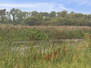 Holiday Home Sunaj by Interhome - 8