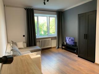 Modern Apartment in Jekabpils Nr2 - 8