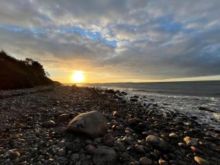 Holiday Home Fietje - 200m from the sea by Interhome - 7