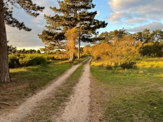 Holiday Home Fietje - 200m from the sea by Interhome - 8