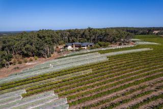 The Residence by Peccavi - 9