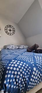 T1 rénové 23m2 Cosy Confort ! - 7