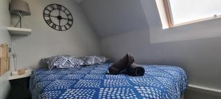 T1 rénové 23m2 Cosy Confort ! - 0