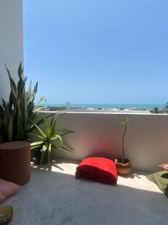 Sossego da Lana - 4