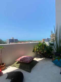 Sossego da Lana - 3