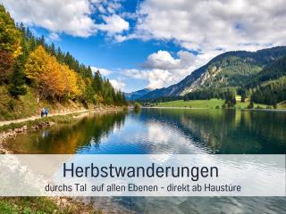 Apartments Tannheim - Ruhige Apartments mit Infrarotsauna & Sommerbergbahnen inklusive - 9