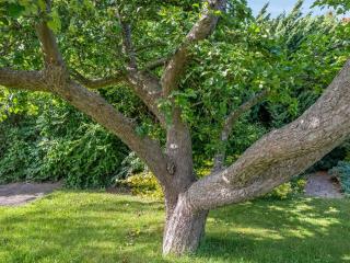 Holiday Home Sampsa - 75m from the sea by Interhome - 6