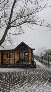 MSC Bungalov Sapanca - 3