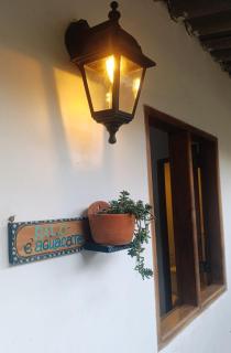 Hermoso Palomino - 1