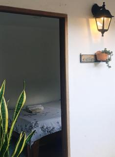 Hermoso Palomino - 8