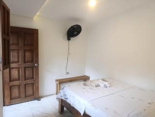 Hermoso Palomino - 5