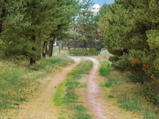 Holiday Home Ginna - 1-3km from the sea by Interhome - 9