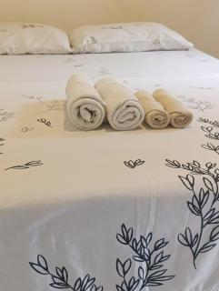 Hermoso Palomino - 2