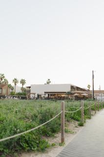 Palms Resort & Cafe on the Beach - 8