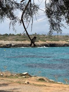 Cala Morlanda - 9