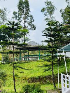 Vagamon Hillvalley Pool Resort - 2