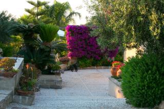 Baglio Sant'Andrea - Valderice - 7