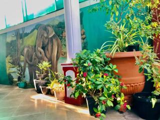 Dream Villa - Batigama - 7