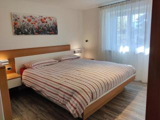 Cucal Apartment - Varena - 4