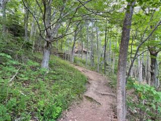 Ananda - Enchanted Forest Hideaway - 5