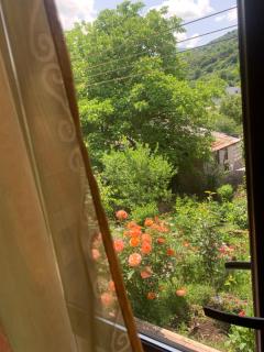 Mountain View Guesthouse - 9