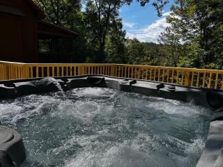 Amazing Screened Porch, HotTub, Relax, Recharge, Private Lake Access Riverbend - 9