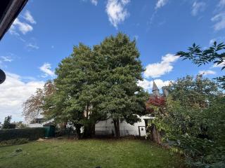 Nr 3 Gemütliches & helles Einzelzimmer in Kleve - 6