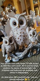 TRZY SOWY noclegi Bytom 24h meldunek samodzielny wygodnelokumpl - 1