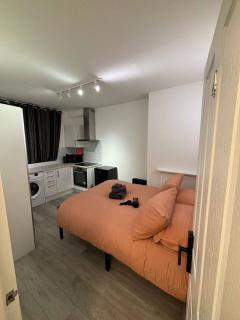 Room 5 minute Walk to Waterloo - 4