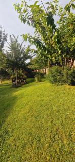 GreenField Resort - 3