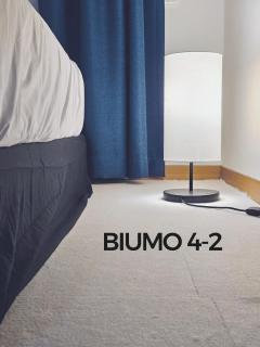 The BIUMO - 1