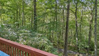 2 Bd Cabin with Hot Tub, Direct Hiking Trail to New River - 6