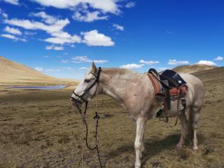 Cabalgatas Culturales en los Andes, Experiencia Auténtica con Caballos en Cusco, Perú - 7