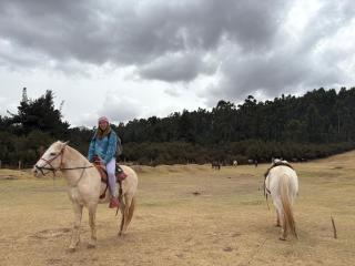Cabalgatas Culturales en los Andes, Experiencia Auténtica con Caballos en Cusco, Perú - 4