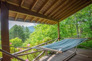 Private Mnt Views-- Pet Friendly, Sleeps 6, Overlooks Phoenix Mnt - 0