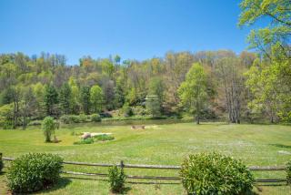 1 Bedroom Cabin Overlooking New River-- Sleeps 4, Dogs OK, Fire Pit & More - 0