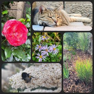 Gartenblick Kottenheim - Gemütliche 95qm mit eigenem Garten - Kottenheim - 1